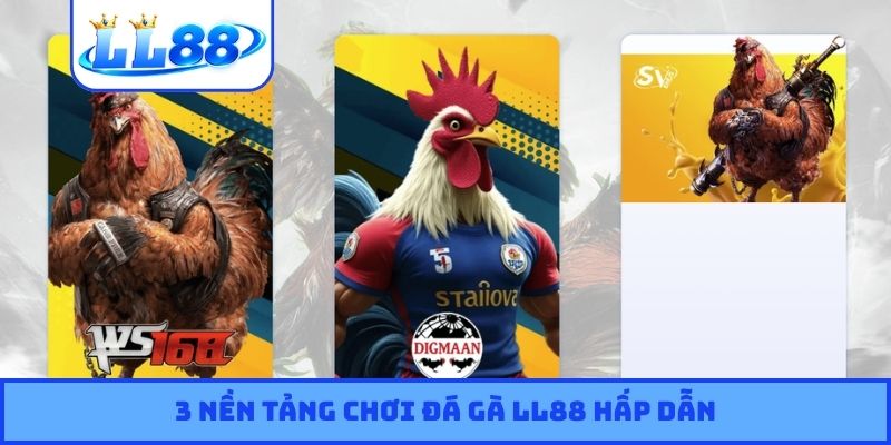 3 nền tảng chơi đá gà LL88 hấp dẫn