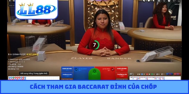 Cách tham gia Baccarat đỉnh của chóp