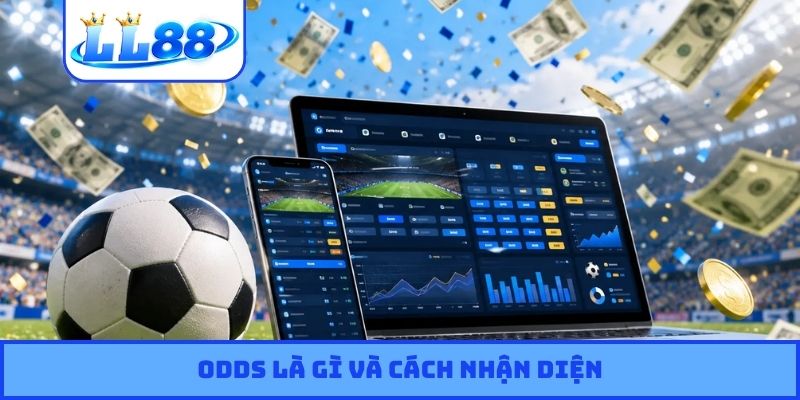 Odds là gì và cách nhận diện